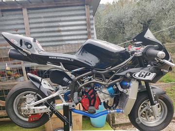 Minimoto Dm anno 2021 + ricambi