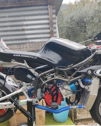 Minimoto Dm anno 2021 + ricambi