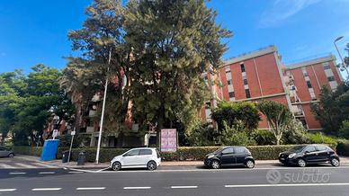 Cagliari Genneruxi trivano