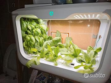 Serra idroponica della Green Farm