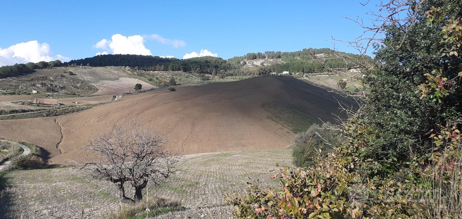 Terreno Agricolo Panoramico 20 Ettari - Vista 4