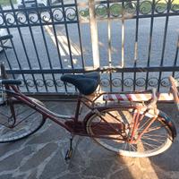 BICICLETTA CON CARRETTO