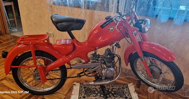 Motom 48 Anno 1962