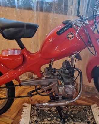 Motom 48 Anno 1962