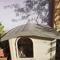 Cuccia per cani da esterno