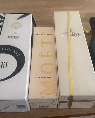 6 Bottiglie champagne assortite