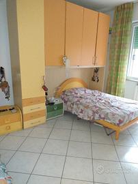 camerina 