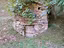Immagine 5