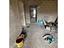 Immagine 26
