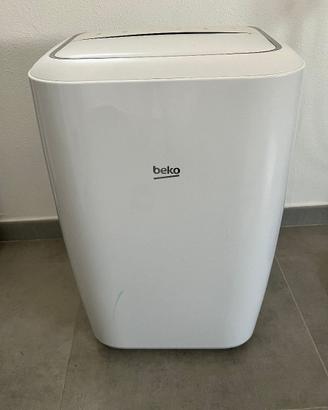 Climatizzatore Portatile