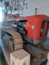 Trattore castoro cingolato