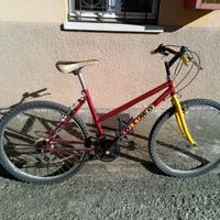 Mountain Bike OLMO