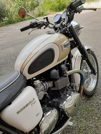 Triumph Bonneville T 100 - 2014