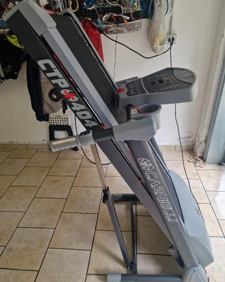 palestra