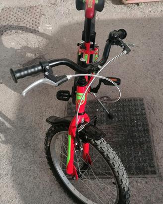 bici da uomo