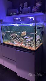 Accessori acquario marino