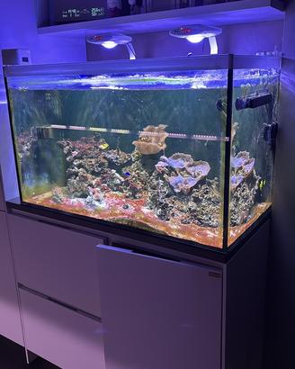 Accessori acquario marino