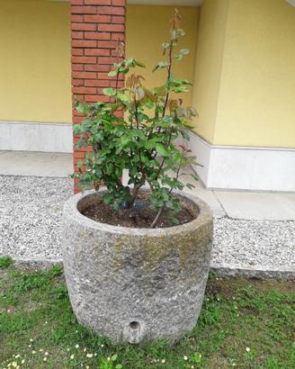 Fioriera da esterni