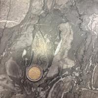 moneta da 2€ con fiori di Finlandia del 1999