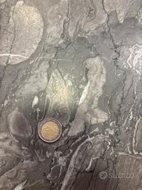 moneta da 2€ con fiori di Finlandia del 1999