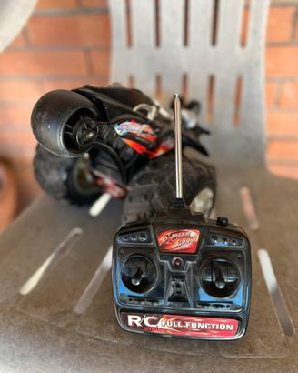 Macchina telecomandata Extreme stunt Rc