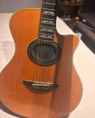 Yamaha apx 1200