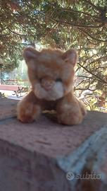 peluche gattino