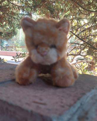 peluche gattino