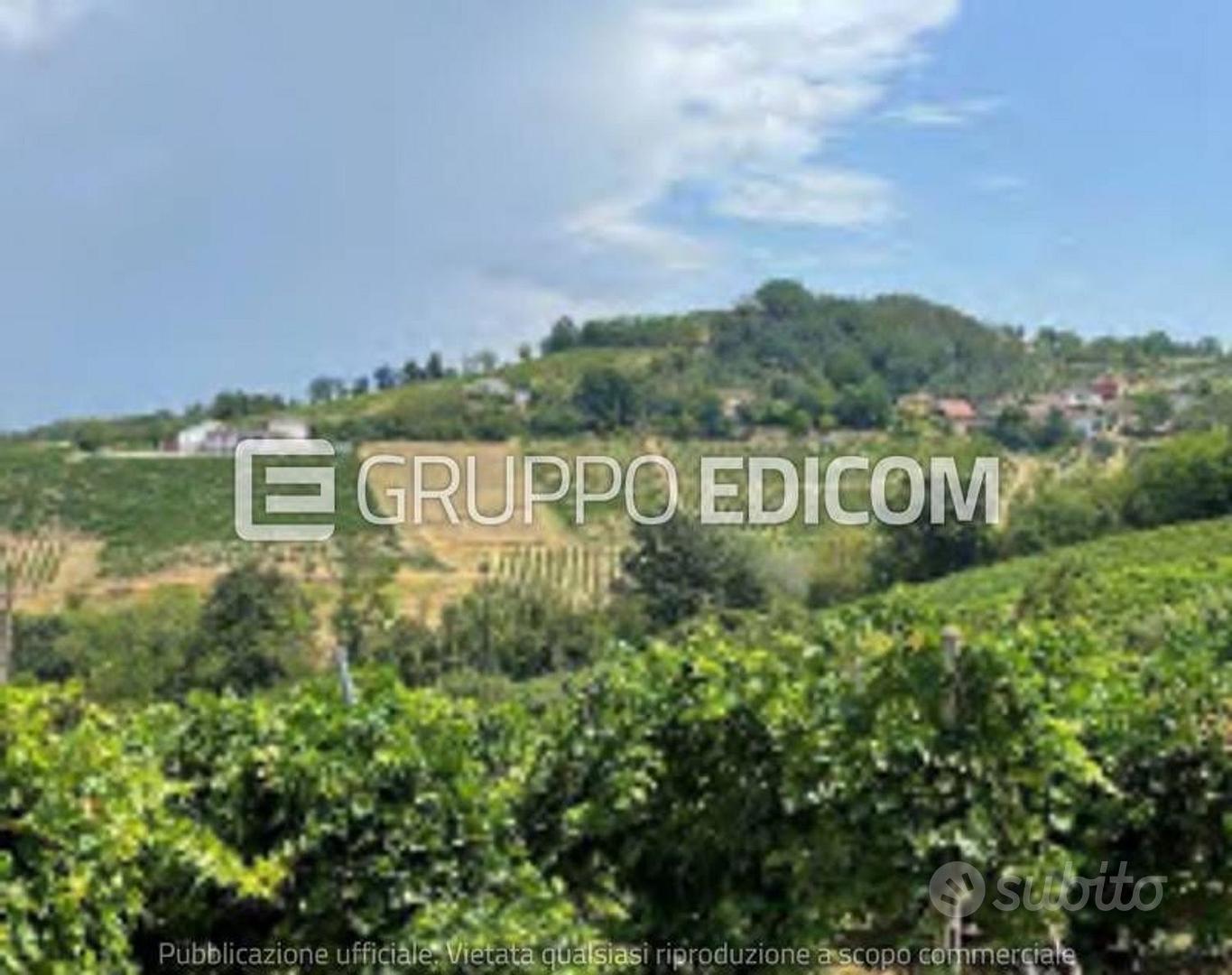 Terreno, Codevilla. - Vista 4