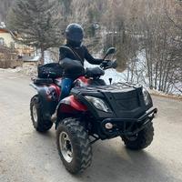 Linhai Quad Muddy 300 4x4