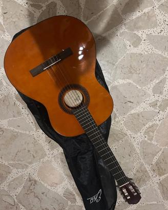 chitarra Eko 
