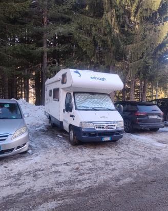 Camper mansardato  Fiat ducato 