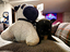 Immagine 19