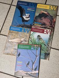 5 numeri Rivista Birdwatching