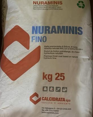 Sacco nuraminis