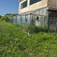 Serra per giardino/orto
