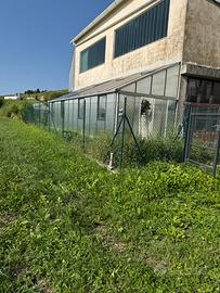 Serra per giardino/orto