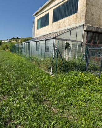 Serra per giardino/orto