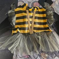 vestito Carnevale Ape