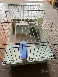 Casetta per cavie o conigli