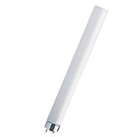 Neon - tubo lampada fluorescente cm 120 t8