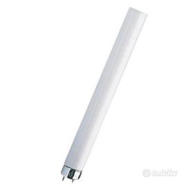 Neon - tubo lampada fluorescente cm 120 t8