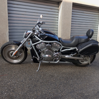 Harley Davidson vrod
