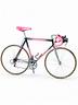 colnago-carbitubo-54