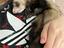 Immagine 1