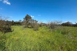 San Sperate. Terreno agricolo recintato