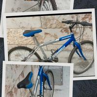 bicicletta Carnielli Junior 