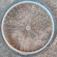 cerchioni bicicletta 