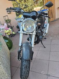 ducati moster