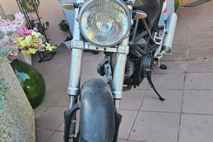 ducati moster